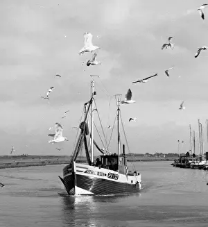 Boxall Prints: Picture No. 10493974