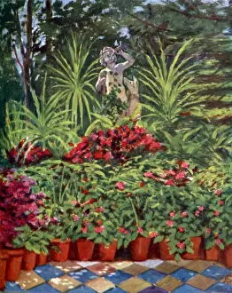 Picture No. 10989067