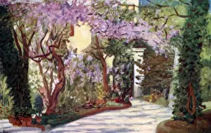 Picture No. 10989069