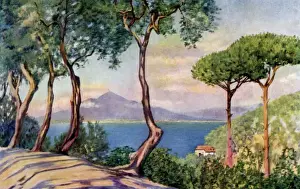 Picture No. 10989070