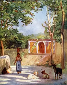 Picture No. 10989087