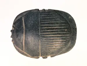 Scarab Prints: Picture No. 11024243