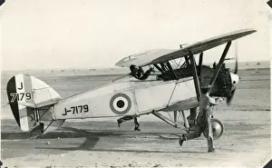 Picture No. 11356334