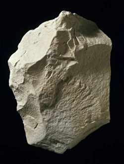 Rocks, Carbon