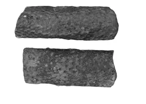 Ballycastle Prints: Two pieces of Carboniferous sandstone from Ballycastle