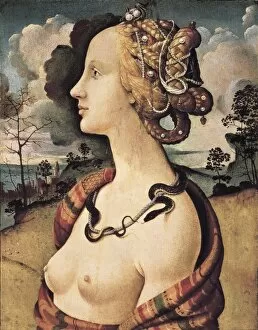 Piero Gallery: Piero di Cosimo, Pietro di Lorenzo, called (1462-1521)