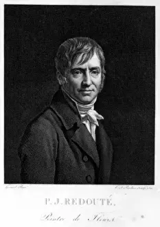 Redoute Prints: Pierre-Joseph Redoute (1759-1840)