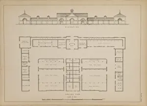 Pig and Cow Farm at Holkam, Leicester