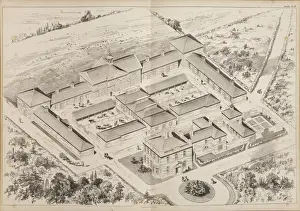Pig and Cow Farm at Holkam, Leicester