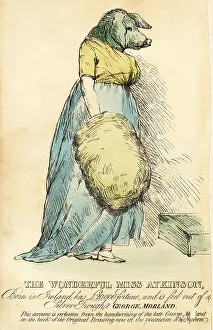 The Pig-Faced Lady, famous in London circa 1815