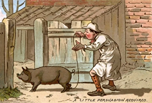 Farmer and Pig
