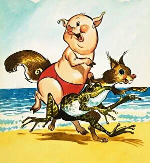Images Dated 16th May 2007: Pig, frog and squirrel on the beach