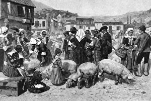Pig Market, Pyrenees