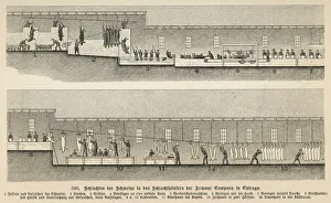 1897 Collection: From Pig to Pork 1897