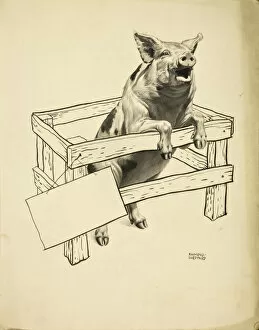 A Pig rears up out of a small pen