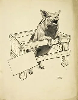 Speaking Gallery: A Pig rears up out of a small pen