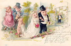 Pig wedding on a French postcard
