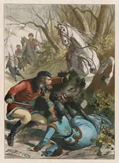 Pig / Wild Boar Rescue