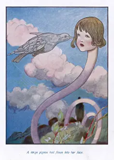 Stretches Prints: Pigeon in Alices Face