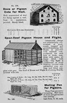 Keepers Prints: Pigeon cotes