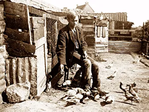 Cope Prints: Pigeon Fancier early 1900s
