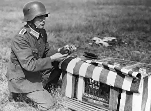 Delivering Prints: Pigeon Post