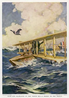 WWI Animals Gallery: Pigeon Saves the Day