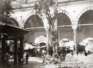 Beyazid Prints: Pigeons in the courtyard of Mosque of Sultan Beyazid, Istanb