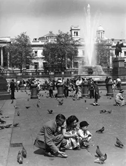 Squatting Prints: Pigeons Trafalgar 1950