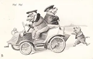Two pigs in a car on a postcard