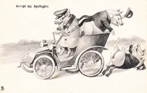 Chauffeur Prints: Pigs in a car on a postcard