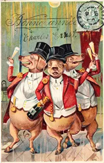 Jackets Prints: Three pigs celebrating on a French New Year postcard