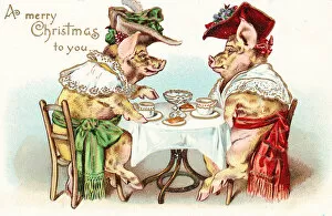 Anthropomorphism Collection: Two pigs enjoying afternoon tea on a Christmas postcard