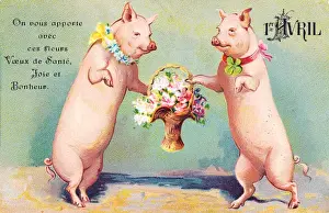 Two pigs on a French April Fool postcard