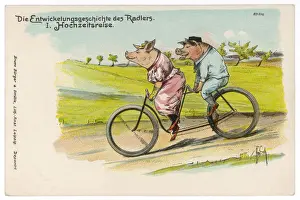 Current Prints: Pigs on Honeymoon