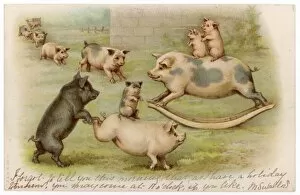 Pigs at Play 1904