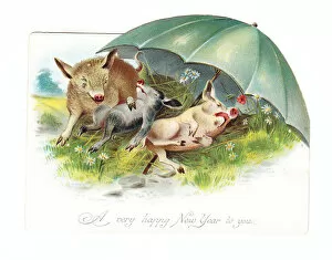 Images Dated 23rd October 2015: Three pigs resting on a New Year card