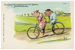 Pigs Collection: Pigs Ride in Tandem 1898