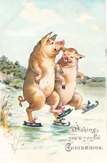 Skating Prints: Two pigs skating on a Christmas postcard