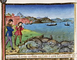 Navigable Prints: Pigs are thrown into the sea and drown. Codex of Predis (147