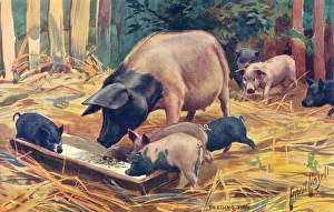 Images Dated 2021 February: 24 Feb 2021 Collection