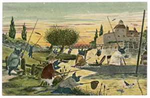 Pigs Water Activities