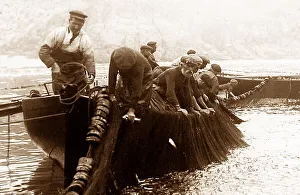 Pilchard Prints: Pilchard fishing in Cornwall with Seine net