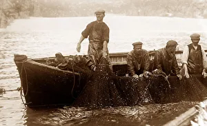 Pilchard fishing in Cornwall with Seine net