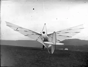 Pilcher Bat