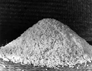 Rice Prints: A Pile of Rice