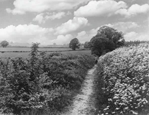 Images Dated 3rd June 2011: Pilgrims Way