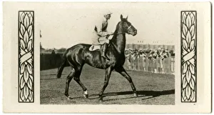 Jockeys Gallery: Pilliewinkie, Australian race horse