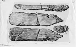 Forgery Prints: Piltdown bone implement (cricket bat)