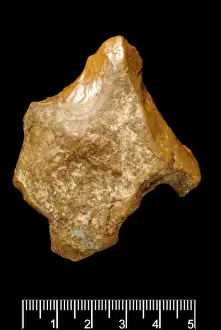 Stone Age Prints: Piltdown Eolithic flint